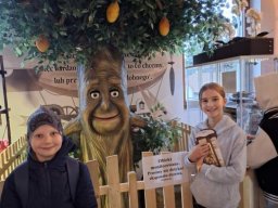 55702310612700029482609843783903040091299172n